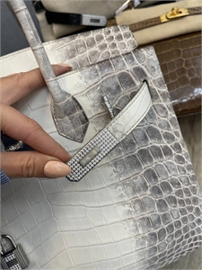 Сумка Hermes Himalaya Birkin 30см из кожи крокодила и с бриллиантами 116251