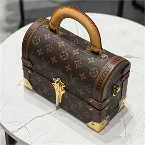 Сумка  LOUIS VUITTON 118317