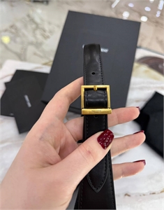 Сумка YSL 120141