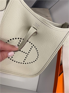 Сумка  Hermes Evelyn mini 121268