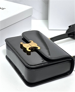 Сумка CELINE 122125