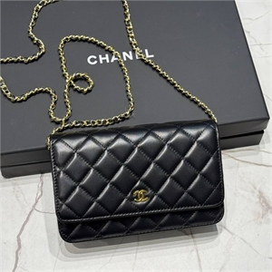 Сумка CHANEL 122877