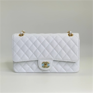 Сумка CHANEL 25 см 123627