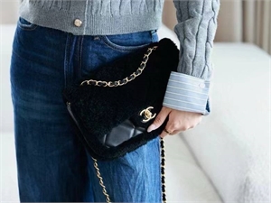 Сумка CHANEL 123964