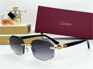 Очки Cartier 125736 - фото 185711