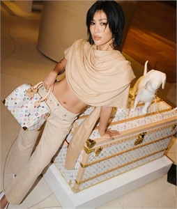 Сумка LOUIS VUITTON 126642