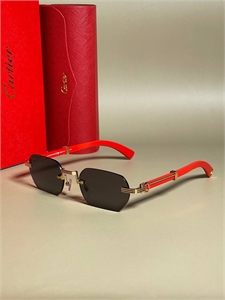 Очки Cartier 127236 - фото 192660