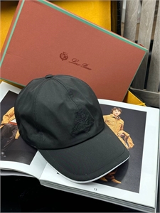 Кепка Loro Piana 128403 - фото 198635