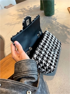 Сумка CHANEL 20 см 132593