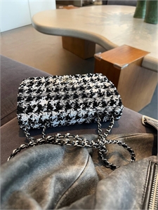 Сумка CHANEL 20 см 132593