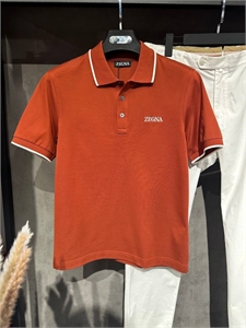 Поло ZEGNA 134733