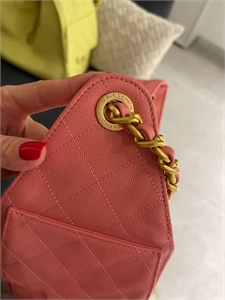 Сумка Chanel 25cm 136863