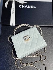 Сумка CHANEL 140033