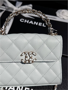 Сумка CHANEL 140033