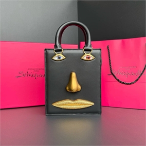 Сумка Schiaparelli 140710