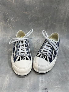 Кеды DIOR 146039