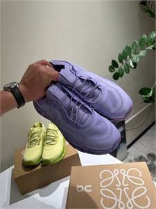 Кроссовки LOEWE 148049