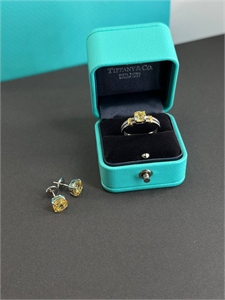 Серьги Tiffany&Co 151159 - фото 319897