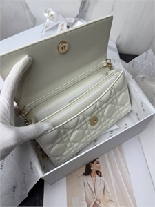 Сумка DIOR 151263