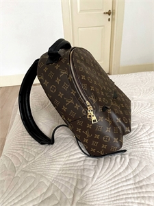 Рюкзак LOUIS VUITTON 152455