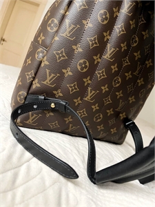 Рюкзак LOUIS VUITTON 152455