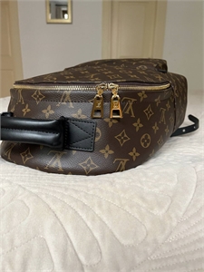 Рюкзак LOUIS VUITTON 152455