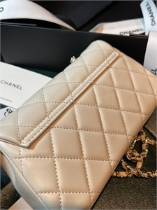 Сумка CHANEL 156601