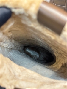 Сапоги MIU MIU 157713