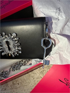 Сумка Schiaparelli 158229