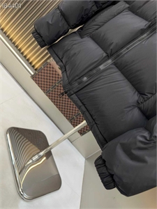 Пуховик LV 158463