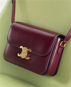 Сумка CELINE 160388