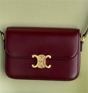 Сумка CELINE 160388