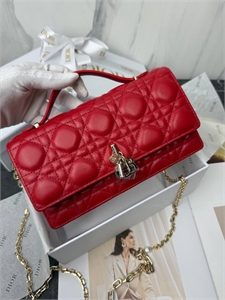 Сумка DIOR 160663