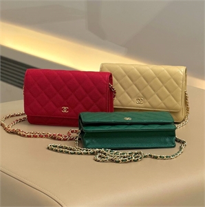 Сумка CHANEL 160676