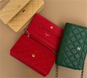 Сумка CHANEL 160676