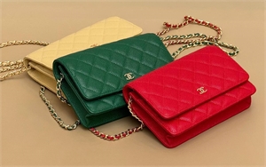 Сумка CHANEL 160676