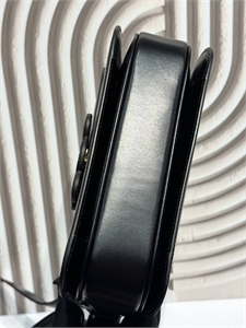 Сумка CELINE 161227