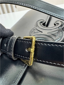 Сумка CELINE 161227