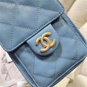 Сумка CHANEL 161358