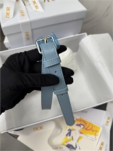 Сумка DIOR 161383