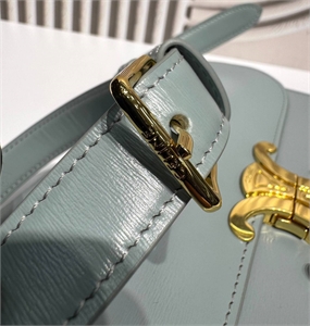 Сумка CELINE 161639