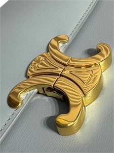 Сумка CELINE 161639