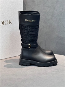 Сапоги DIOR 163301