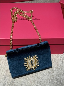 Сумка Schiaparelli 163576