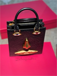 Сумка Schiaparelli 163587