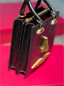 Сумка Schiaparelli 163587