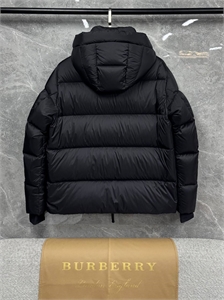 Пуховик Burberry 163900