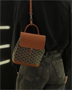 Рюкзак GOYARD 164113