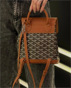 Рюкзак GOYARD 164113