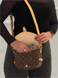 Сумка  LOUIS VUITTON 164122